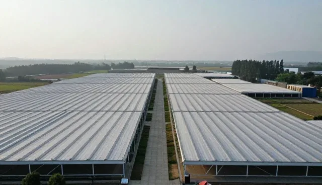 视频剪辑中的常见误区及选型建议